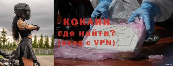 шишки Заволжск