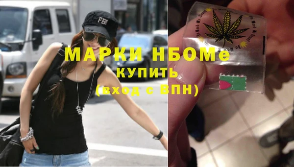 шишки Заволжск