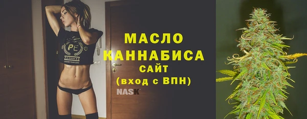 шишки Заволжск