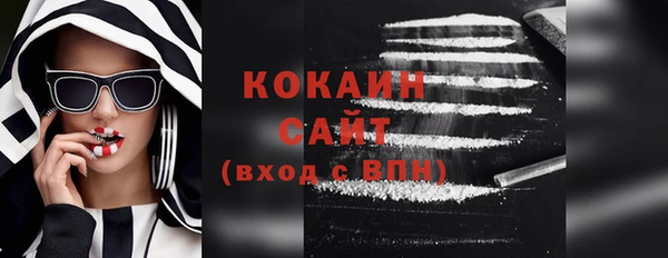 шишки Заволжск