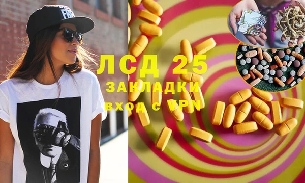 шишки Заволжск