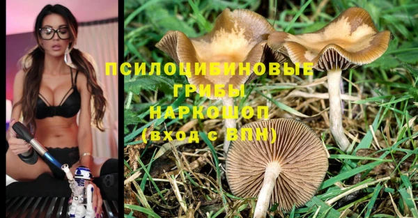шишки Заволжск