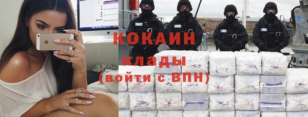 шишки Заволжск